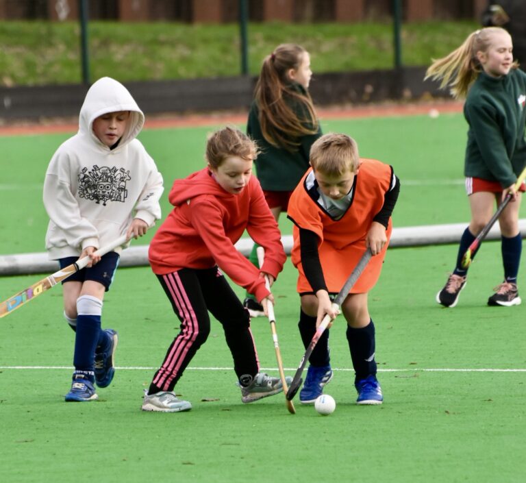 North Down Youth Summer Camps